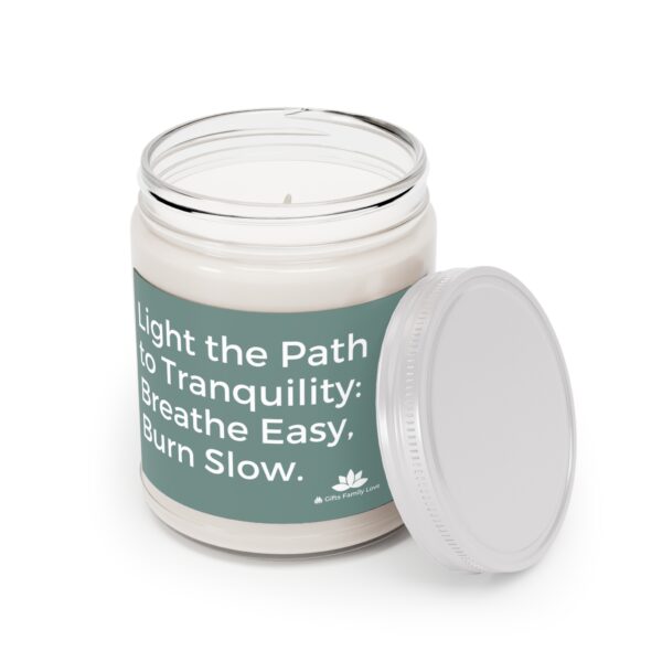 Anxiety Candle, Light The Path, Empathy in a Jar Stress Relief Candle - 512d - Image 6